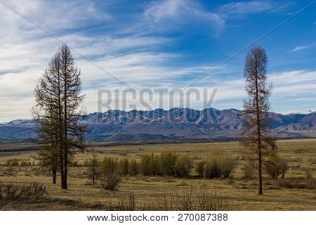 Kurai Steppe And Its Surrounding Mountains With Snowy Peaks, Altai, Russia