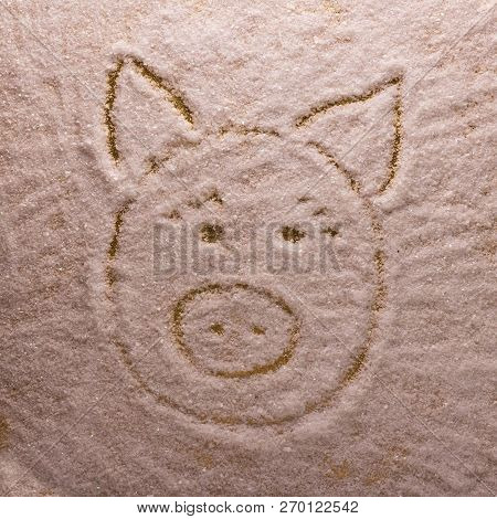 Bright Picture Of The Symbol 2019 Of The New Year Of The Pig In The Snow