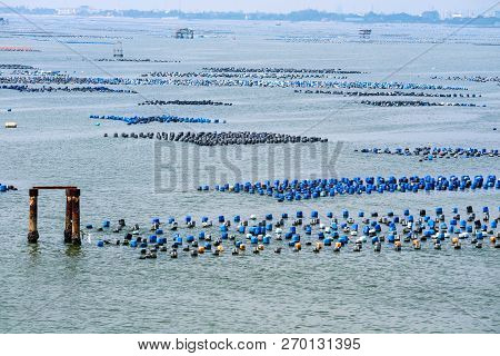 The Shellfish Farm Is Made Of Residual Plastic Tank With Rope Under The Sea