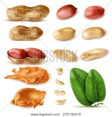 Realistic Peanut Set Of Isolated Images Of Beans In Shell With Green Leaves And Peanut Butter Vector