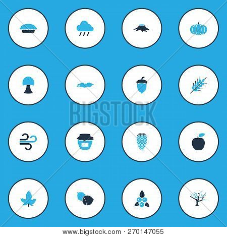 Season Icons Colored Set With Jam, Tree, Maple And Other Cedar Elements. Isolated  Illustration Seas