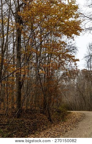 This Lonely Road Was Really Beautiful With All The Fall Color