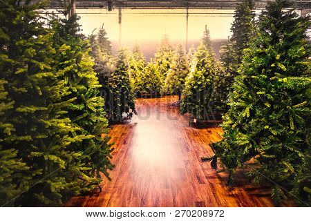 Christmas Trees Store Background Sale Yellow Warm Tone Backlight Gleam Sunbeam Shopping .