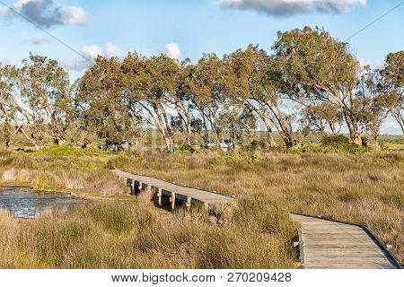 View From The Geelbek Bird Hide Boardwalk On The Langebaan Lagoon On The Atlantic Ocean Coast Of The