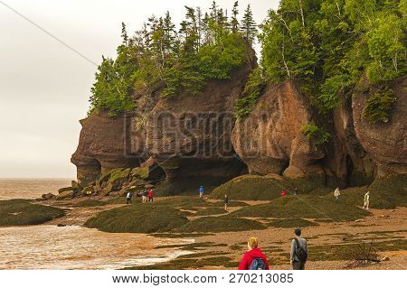 Bay Of Fundy, Canada - July 2, 2017: Park Visitors Explore The Ocean Floor At Low Tide