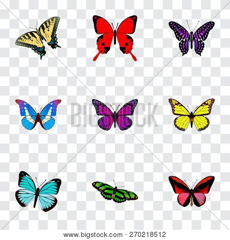 Set Of Beauty Realistic Symbols With Tiger Swallowtail, Demophoon, Striped Purple Crow And Other Ico