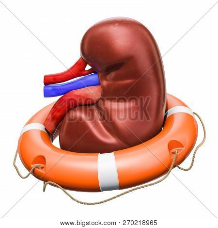 Human Kidney With Lifebelt, Kidney Protect Concept. 3d Rendering Isolated On White Background