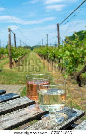 Dutch Winery, White And Rose Wine Tasting On Vineyard In Brabant On Outside Terrace