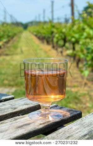 Dutch Winery, Rose Wine Tasting On Vineyard In Brabant On Outside Terrace