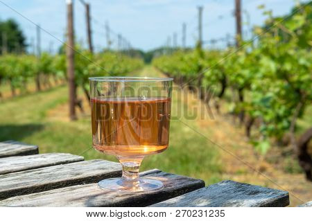 Dutch Winery, Rose Wine Tasting On Vineyard In Brabant On Outside Terrace
