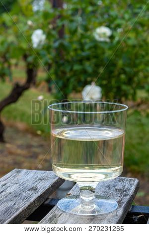 Dutch Winery, White Wine Tasting On Vineyard In Brabant On Outside Terrace