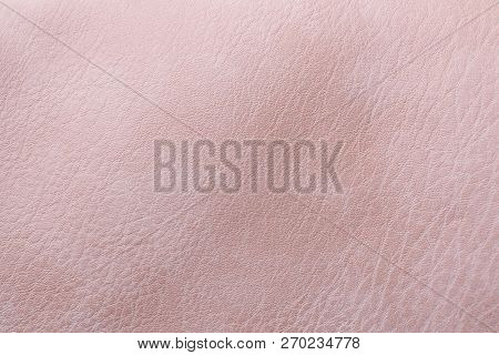 The Textured Skin Is Pink In Color. Closeup View Background. Stock Image.