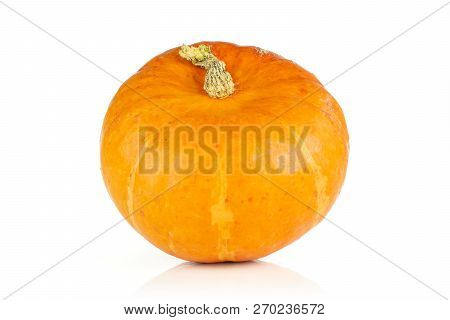 One Whole Raw Fresh Red Kuri Pumpkin Hokkaido Variety Isolated On White Background
