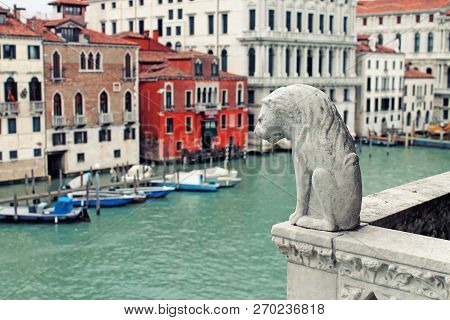 View Of Grand Canal From Pallazzo. Sculpture Of A Lion On The Balcony. Venice, Italy