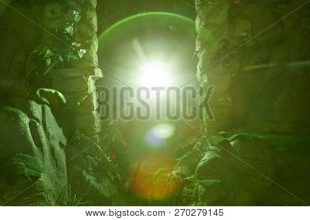 Grotto Entwined With Green Plants And A Bright Flash Inside. Studio Shooting