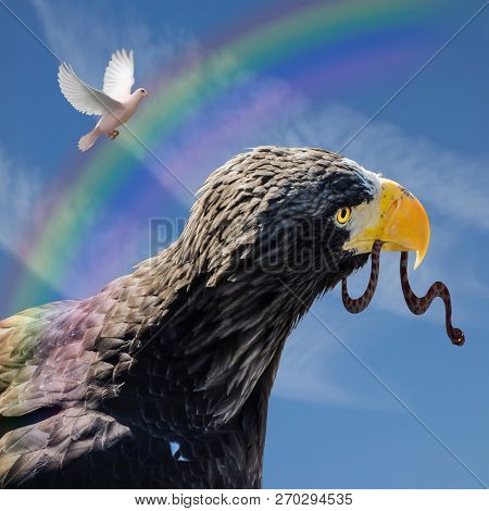 The Eagle, The Symbol Of Scorpio, Caught And Carries A Snake In Its Beak. A Rainbow Shines Above It 