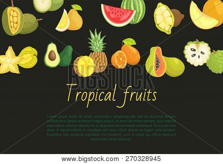Tropical Fruits Banner With Exotic Food. Jackfruit And Pomelo, Watermelon And Cupuacu, Melon And Car