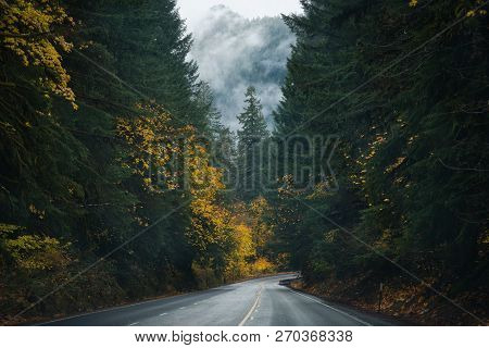Photo Of The Road 58 On Oregon State At Autumn