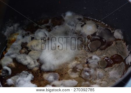Mold On Food Fruit Magnification. Texture Of Toxic Green Mold With Dark Green And White Orange Spots