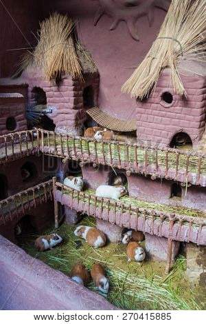 Castillo De Cuyes Guinea Pig House In Pisac Village, Peru