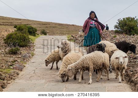 Amantani, Peru - May 15, 2015: Native Woman With Her Sheep On Amantani Island In Titicaca Lake, Peru