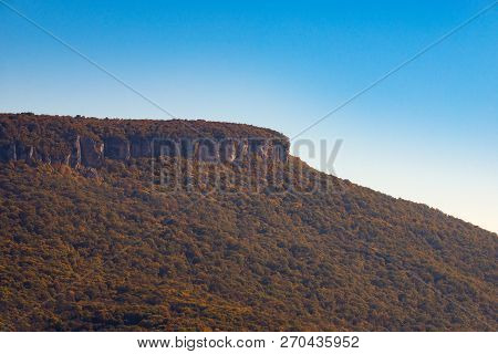 Scenic Landscape With Trees In Mountain Forest In Autumn.