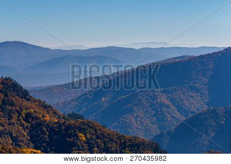 Scenic Landscape With Trees In Mountain Forest In Autumn.