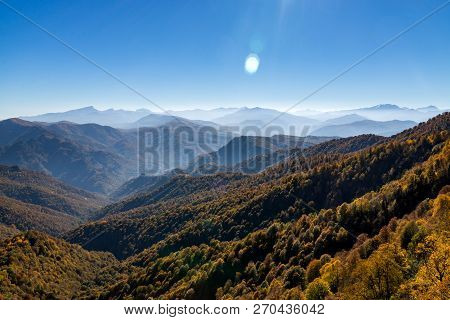 Scenic Landscape With Trees In Mountain Forest In Autumn.
