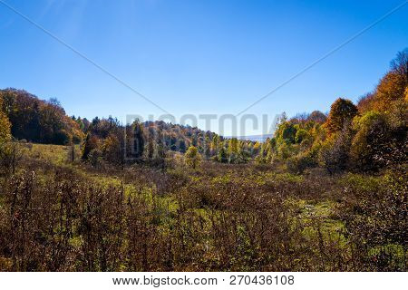 Scenic Landscape With Trees In Mountain Forest In Autumn.