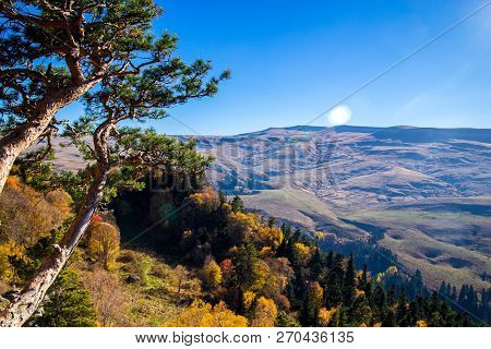 Scenic Landscape With Trees In Mountain Forest In Autumn.