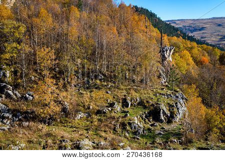 Scenic Landscape With Trees In Mountain Forest In Autumn.