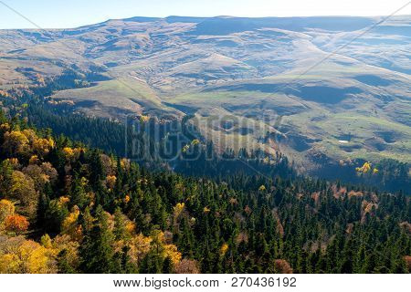 Scenic Landscape With Trees In Mountain Forest In Autumn.