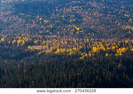 Scenic Landscape With Trees In Mountain Forest In Autumn.