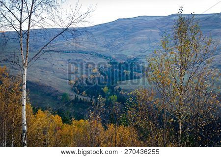 Scenic Landscape With Trees In Mountain Forest In Autumn.