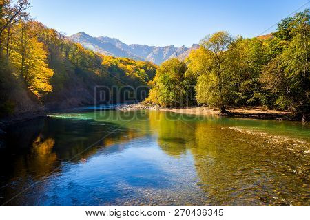 Scenic Landscape With Beautiful Mountain River. Autumn In Mountain Forest. Sunny Day.
