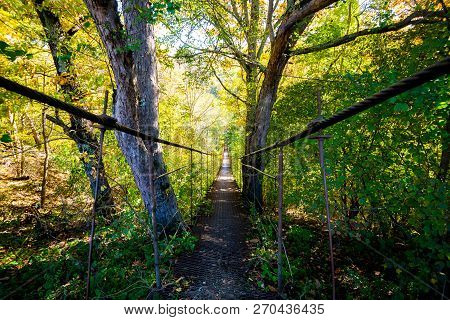 Narrow Metal Foot Bridge Across Forest In Autumn.