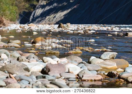 Scenic Landscape With Beautiful Mountain River. Autumn In Mountain Forest. Sunny Day.