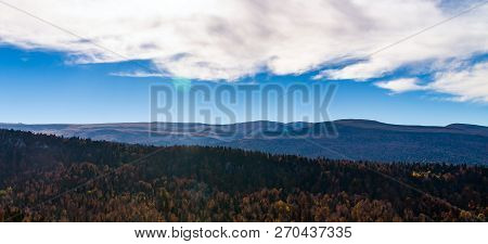 Scenic Landscape With Trees In Mountain Forest In Autumn.