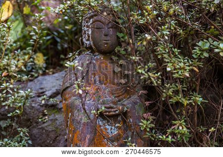 Stone Statue Of Buddha In The Thickets Of Trees Close-up Summer Day