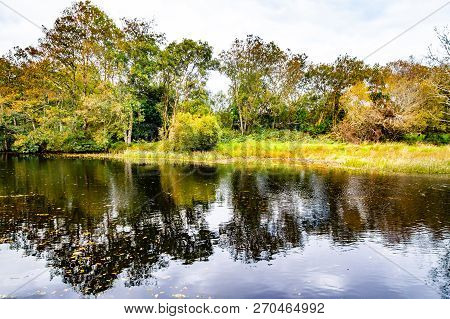 Trees And Reflection In Owenriff River