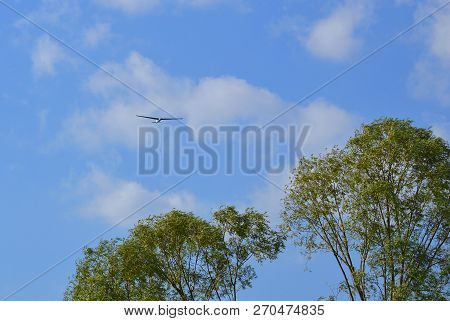 Sailplane Flying High Above The Trees On The Background Of The Cloudy Sky