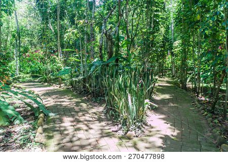 Paths In El Gallineral Park In San Gil, Colombia