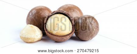Macadamia Nuts Isolated On White Background Clouseup.