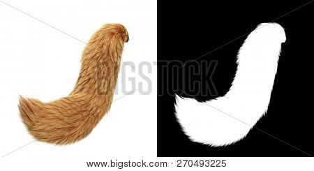 Fox Tail Isolated on White Background with Alpha Mask Attached. 3D Illustration.