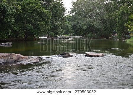 Trip To Hogennakal Waterfalls