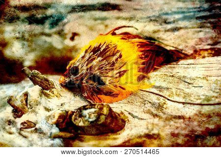 Shamanic Feather Mask Lying On A Piece Of Wood. Retro Effect.