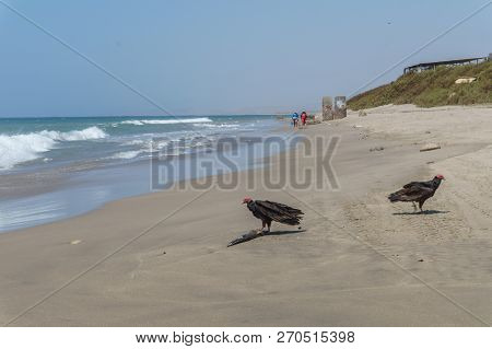 Nice Sand Beach View Of Mancora, Peru