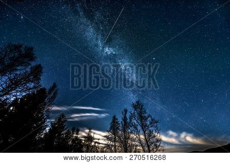 The Milky Way Galaxy Above Forest ( Tree Line )