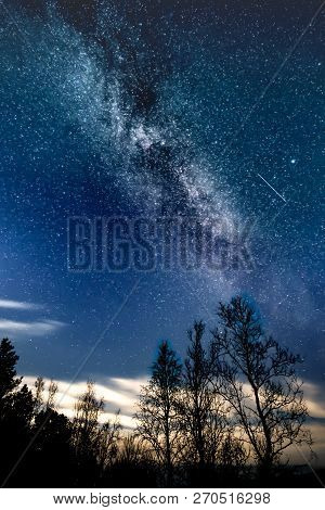 The Milky Way Galaxy Above Forest ( Tree Line )