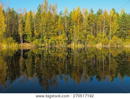 Autumn Forest With A Beautiful Lake In Sunny Day. Bright Colorful Trees Reflecting In Calm Water Of 